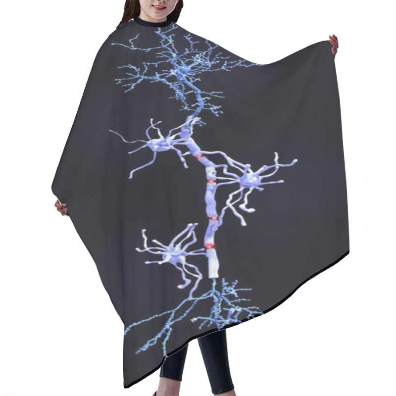 Personality  Myelin Sheats Insulate The Axon From Electrical Activity. This Insulation Increases The Rate Of Transmission Of Signals, Which Spring From Gap To Gap. Hair Cutting Cape