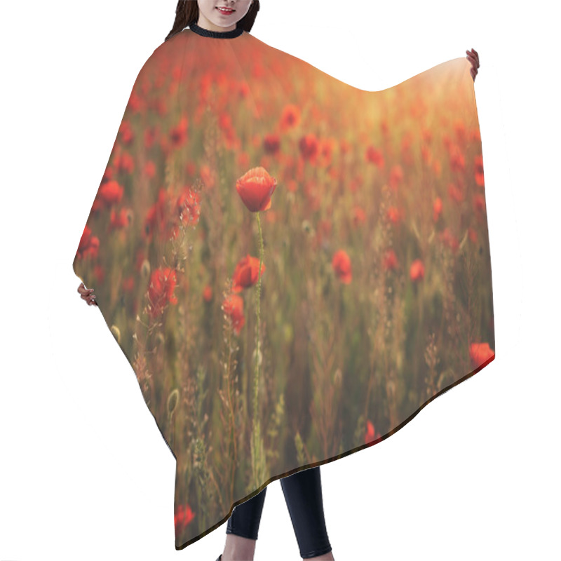 Personality  Poppy Field Hair Cutting Cape