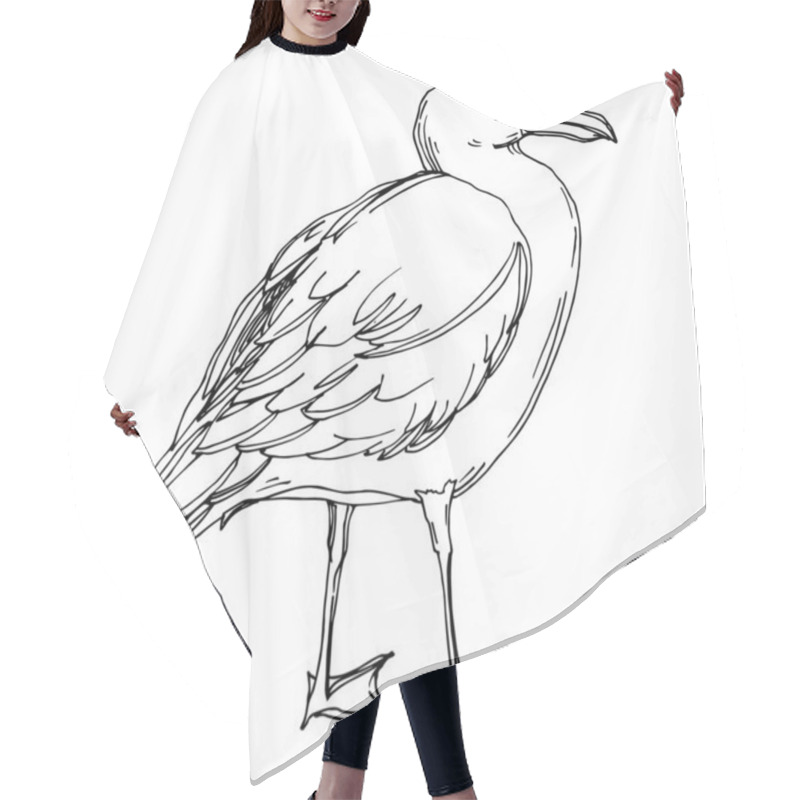 Personality  Vector Sky Bird Seagull In A Wildlife Isolated. Black And White Engraved Ink Art. Isolated Seagull Illustration Element. Hair Cutting Cape