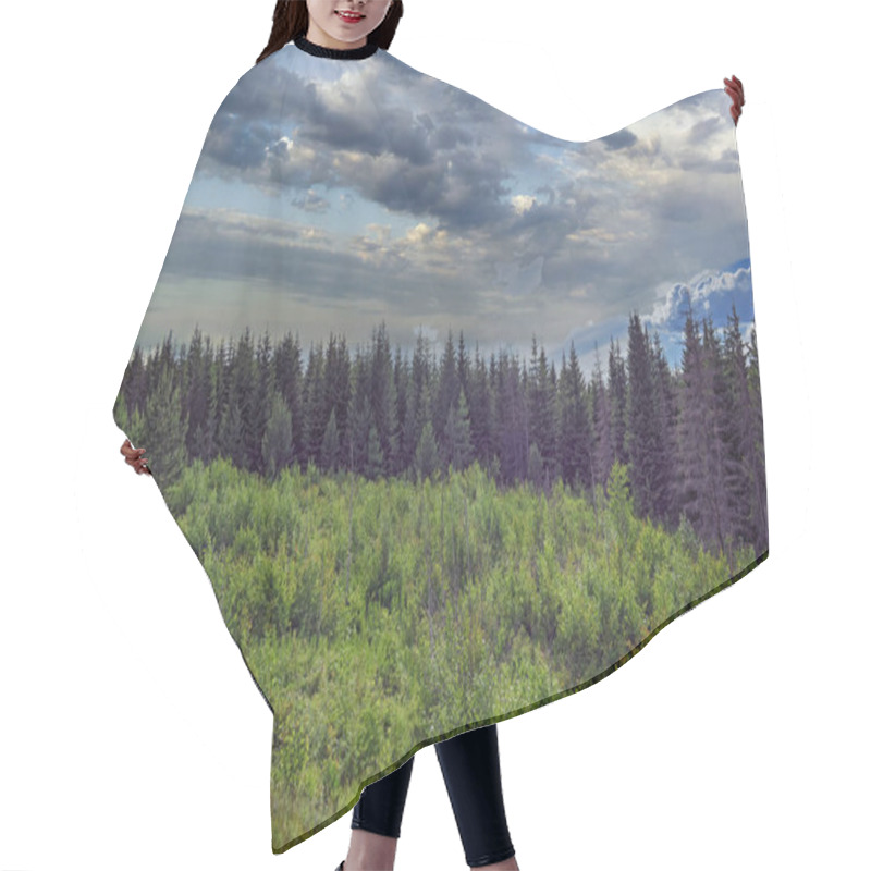 Personality  Summer Meadow Landscape With Tall Blooming Wild Herbs On A Background Of Forest And Blue Sky. Hair Cutting Cape