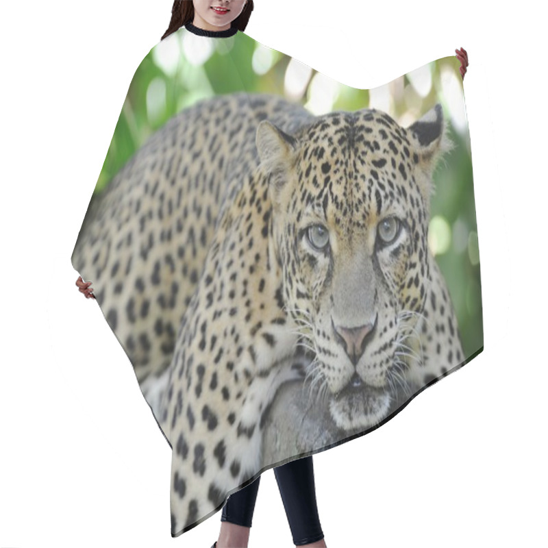 Personality  Leopard Hair Cutting Cape