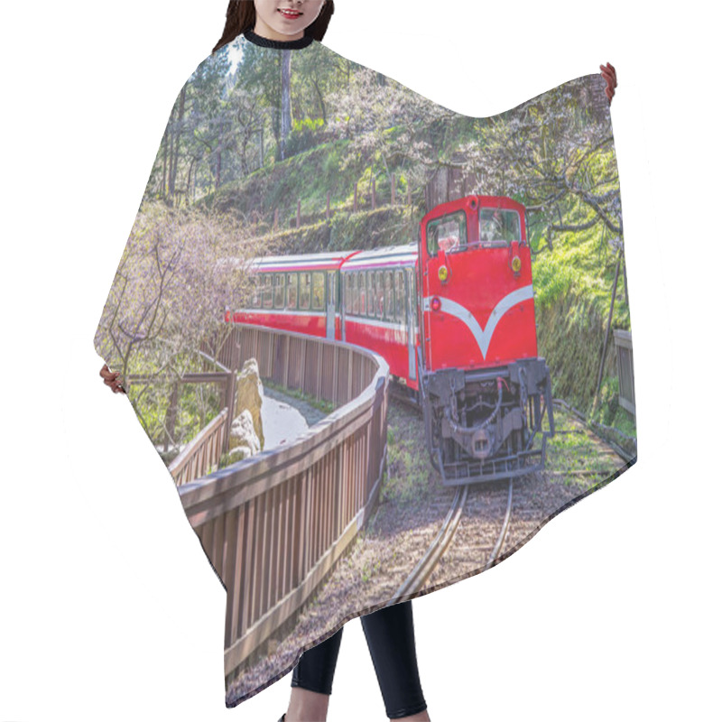 Personality  Railway In Alishan Forest Recreaction Area Hair Cutting Cape