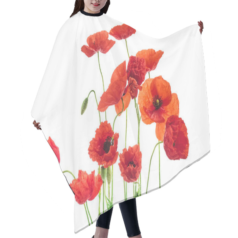 Personality  A Collection Of Bright Red Poppies With Delicate Petals Against A Pure White Backdrop. Hair Cutting Cape