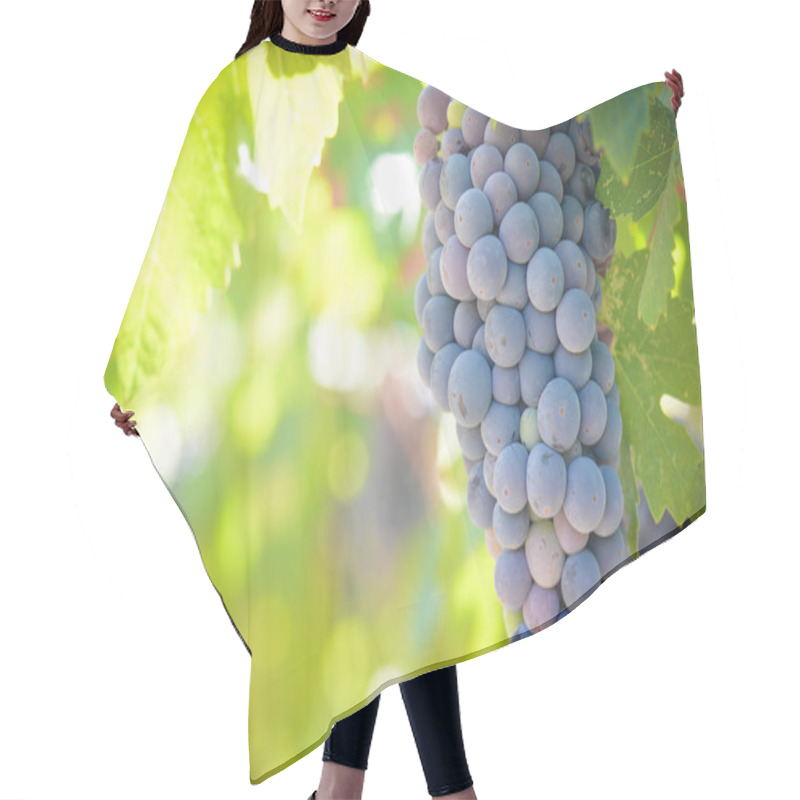 Personality  Red Grapes On The Vine Hair Cutting Cape