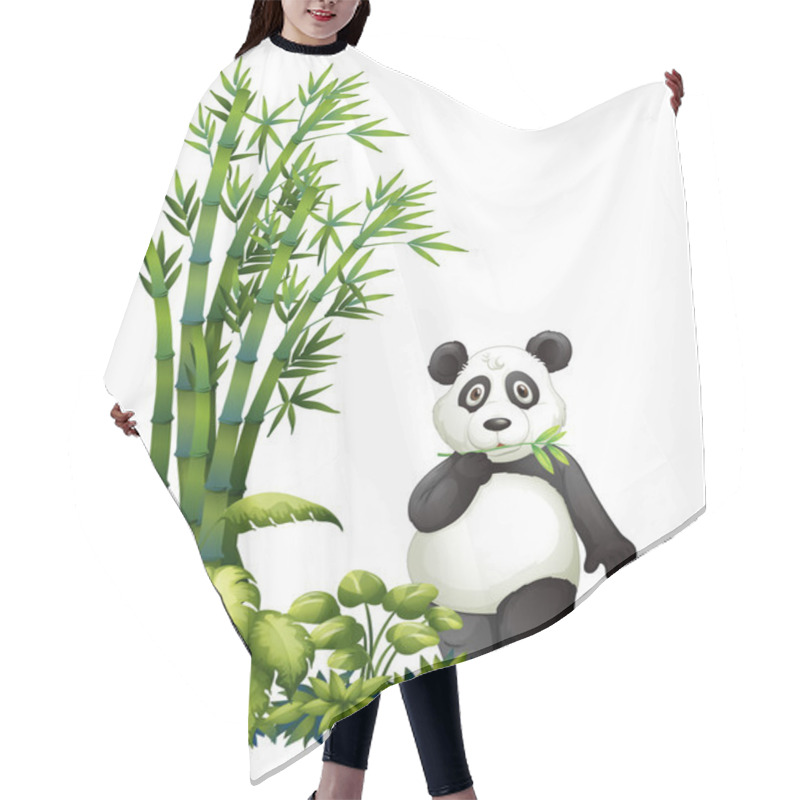 Personality  A Panda Eating Hair Cutting Cape