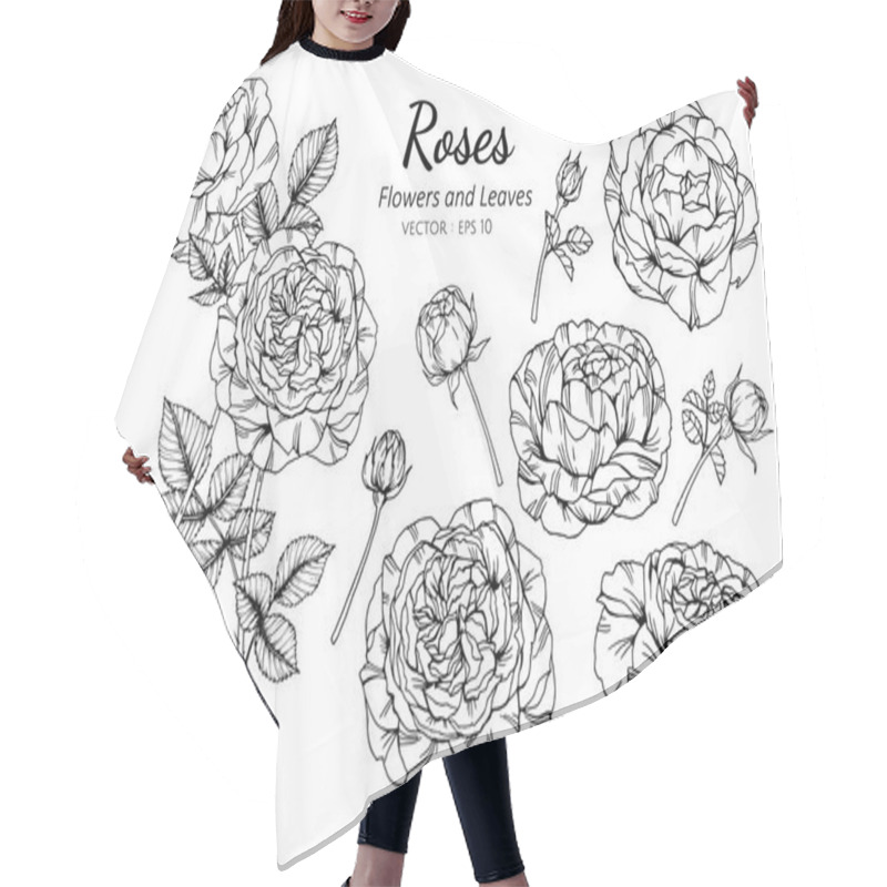 Personality  Collection Set Of Rose Flower And Leaves Drawing Illustration. Hair Cutting Cape