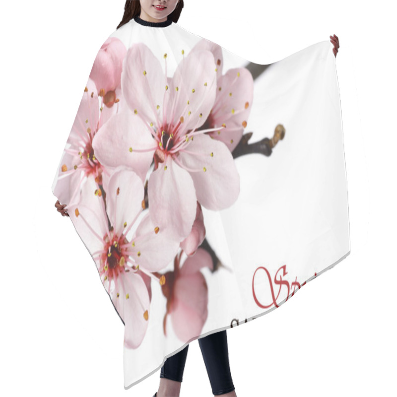 Personality  Pink Spring Blossom Hair Cutting Cape