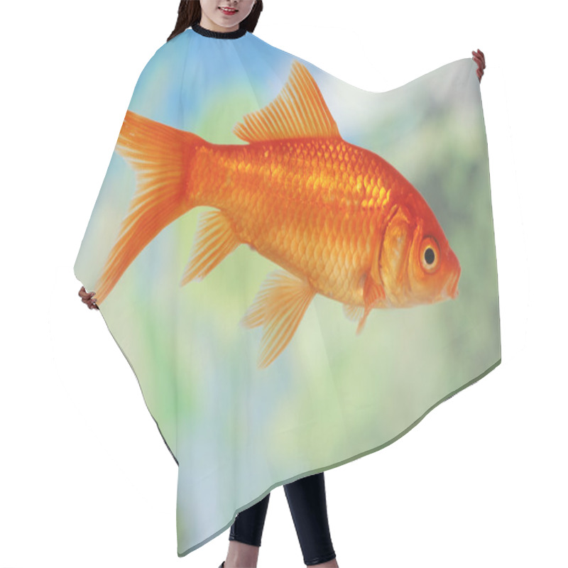 Personality  Gold Fish Hair Cutting Cape