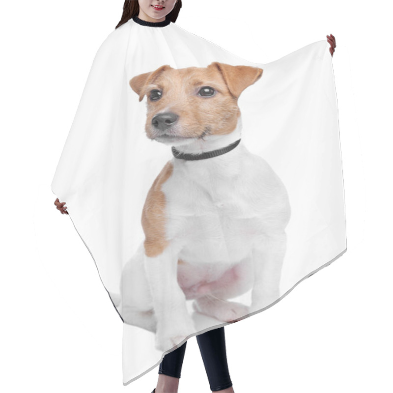 Personality  Jack Russel Terrier Dog Hair Cutting Cape