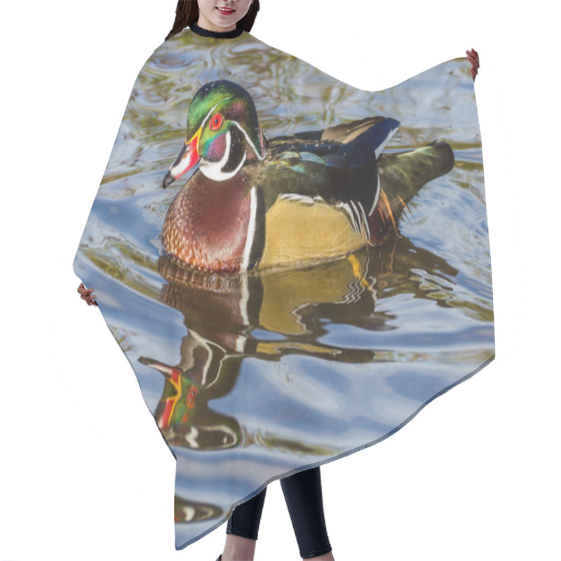 Personality  Male Wood Duck On The Water Burnaby Canada Hair Cutting Cape