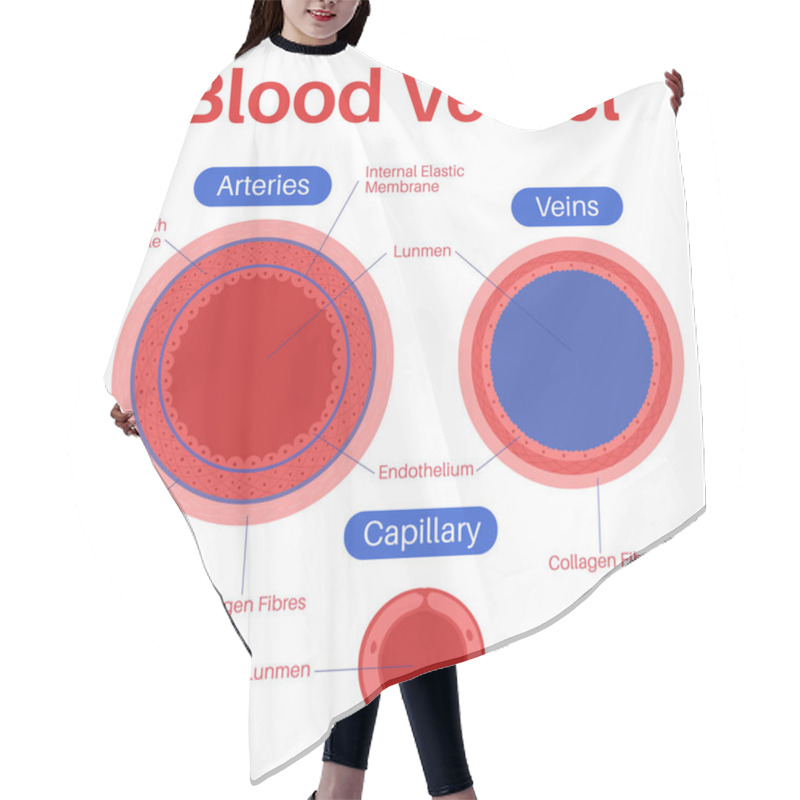 Personality  Blood Vessel In The Human Body. Hair Cutting Cape