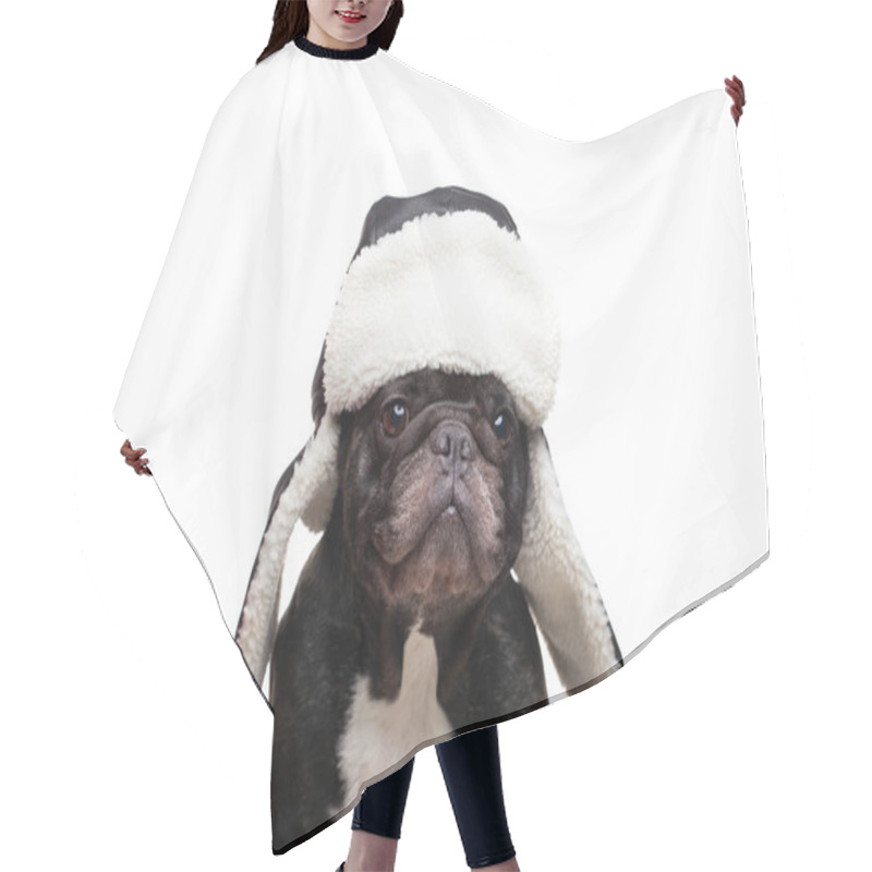 Personality  Image Of Dog Hat White Background  Hair Cutting Cape