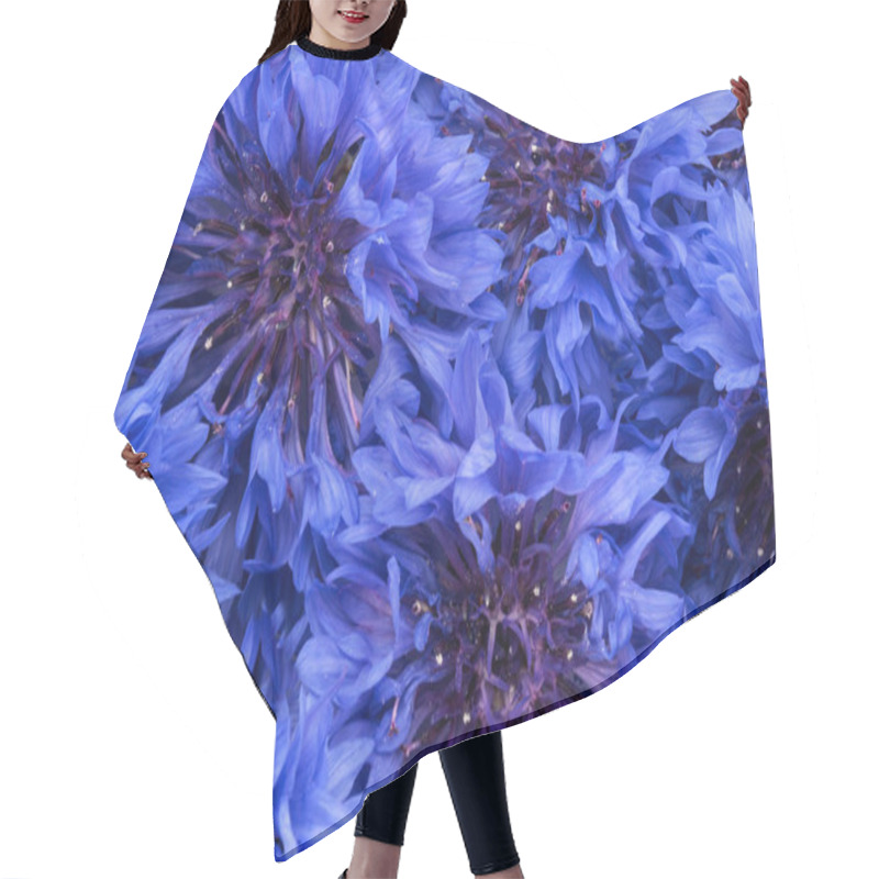 Personality  Blue Cornflowers Herb Hair Cutting Cape