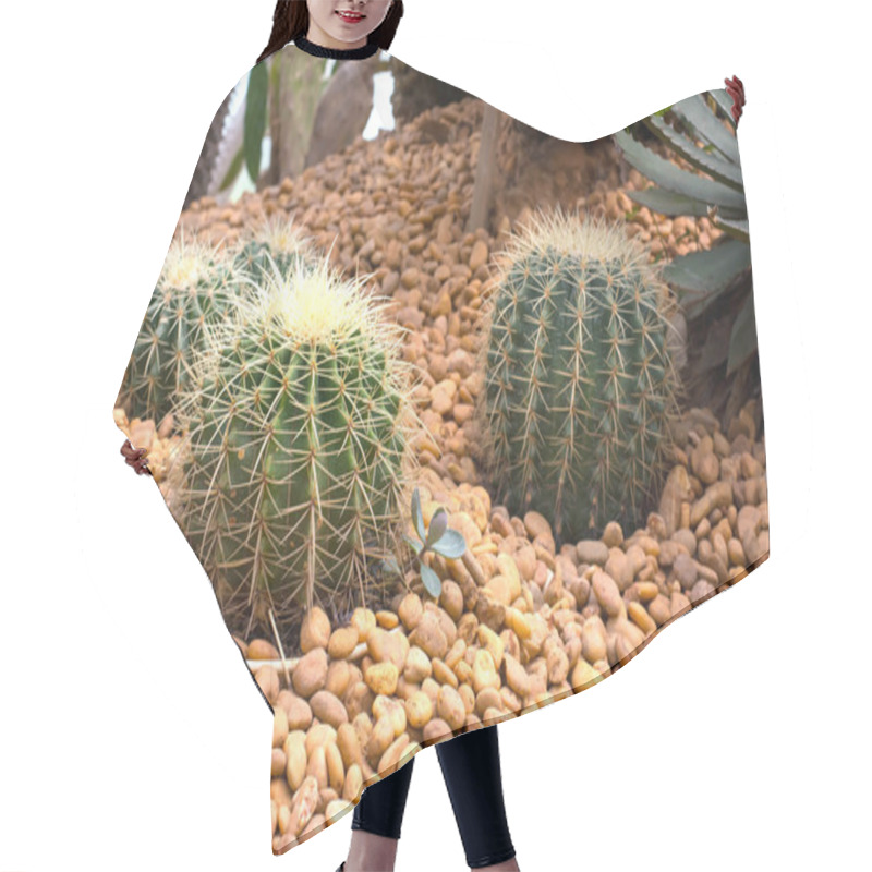 Personality  Cactus Garden Hair Cutting Cape