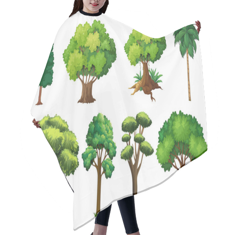 Personality  Set Of Variety Plants And Trees Illustration Hair Cutting Cape