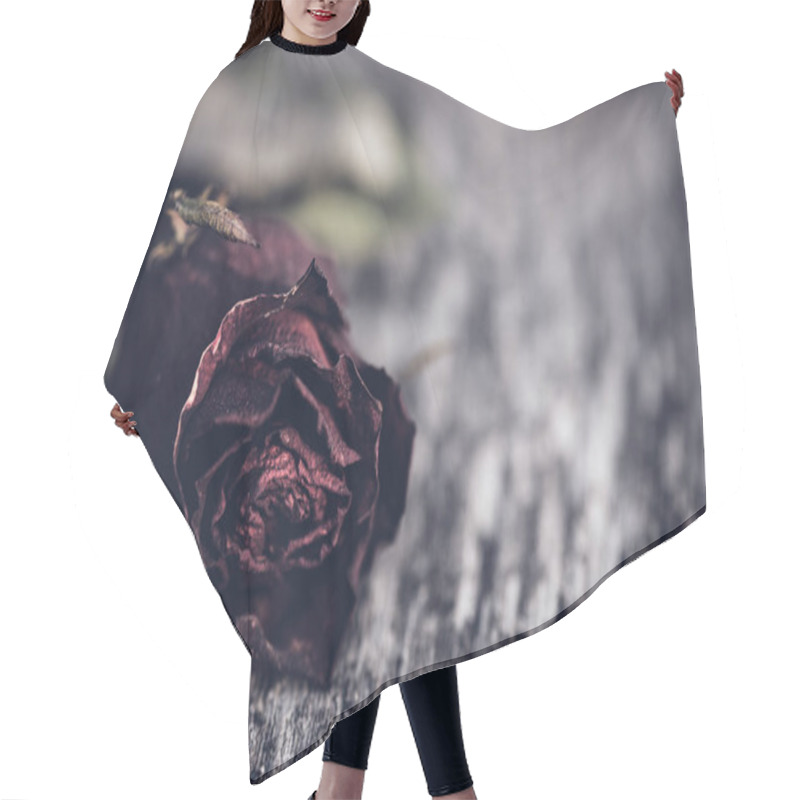 Personality  Closeup Dried Red Rose, Dead Red Rose On Wooden Background  Hair Cutting Cape