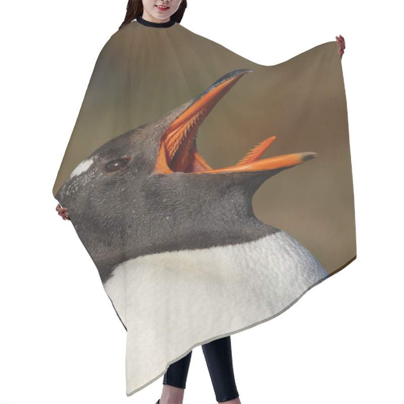 Personality  Portrait Of Gentoo Penguin Hair Cutting Cape