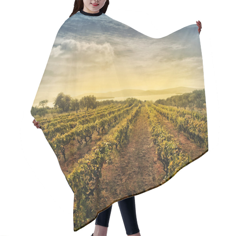 Personality  Vineyard Landscape Hair Cutting Cape