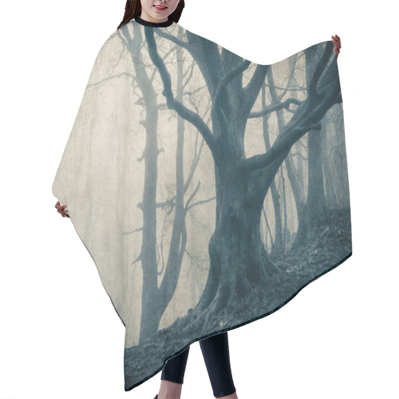 Personality  A Mysterious Forest, With Trees Silhouetted Against Winter Fog. With A Vintage, Grunge Blue Monochrome Edit. Hair Cutting Cape