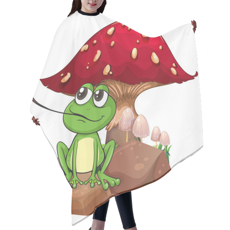 Personality  A Frog Catching A Fly Near The Giant Mushroom Hair Cutting Cape