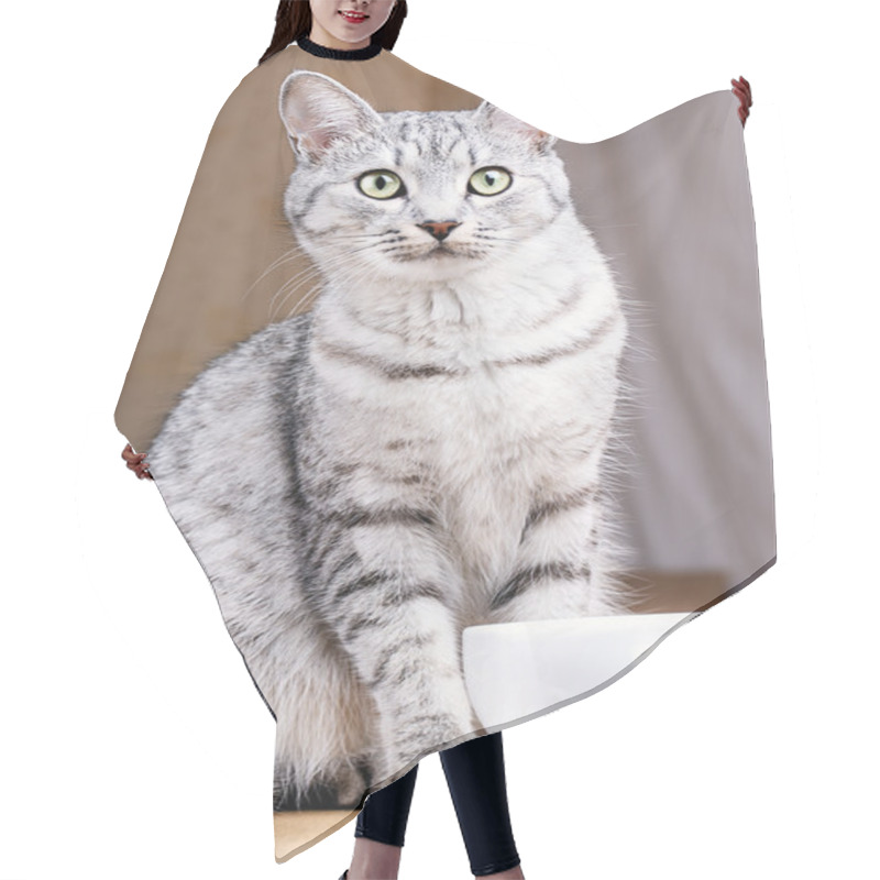 Personality  White Tea Mug Cat Hair Cutting Cape