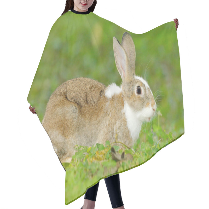 Personality  Cute Rabbit With Flower  Hair Cutting Cape