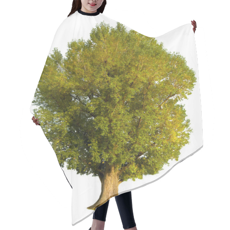 Personality  Poplar Tree Isolation Hair Cutting Cape