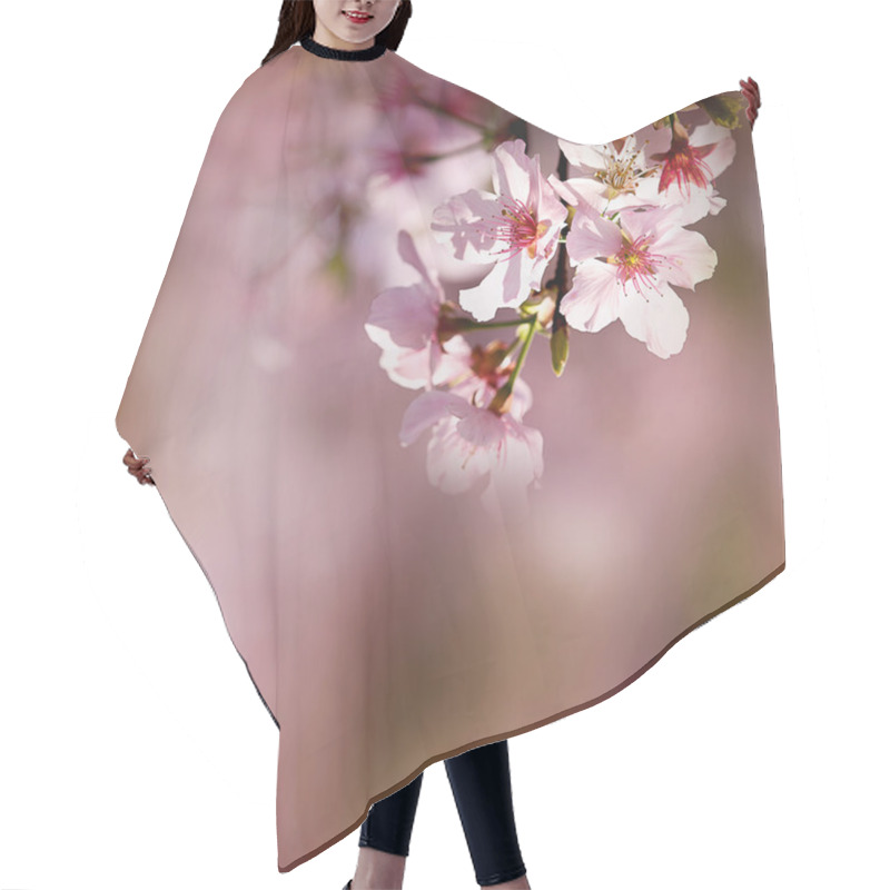 Personality  Cherry Blossom Hair Cutting Cape