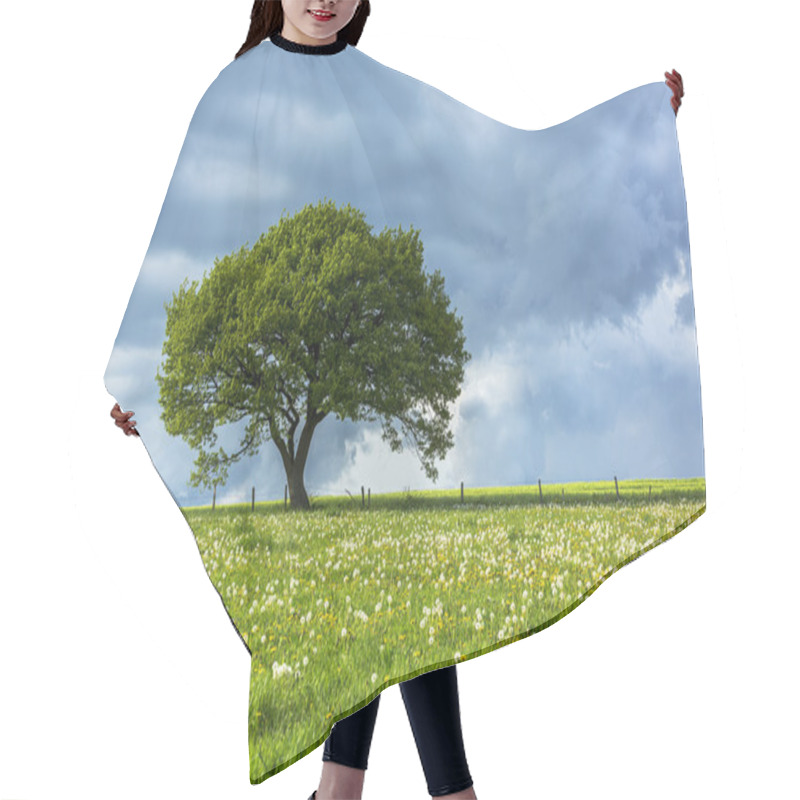 Personality  Oak Tree Old Eifel Clouds Hiking National Park Nrw Landscape Foliage Hair Cutting Cape