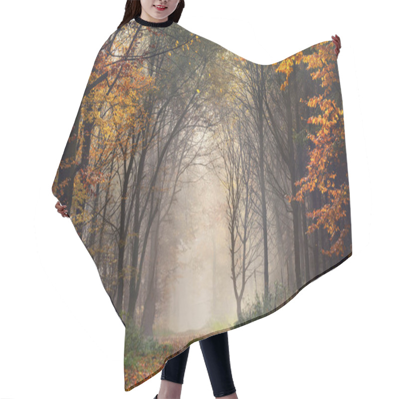 Personality  Trees Shaping An Archway In Misty Autumn Forest Hair Cutting Cape