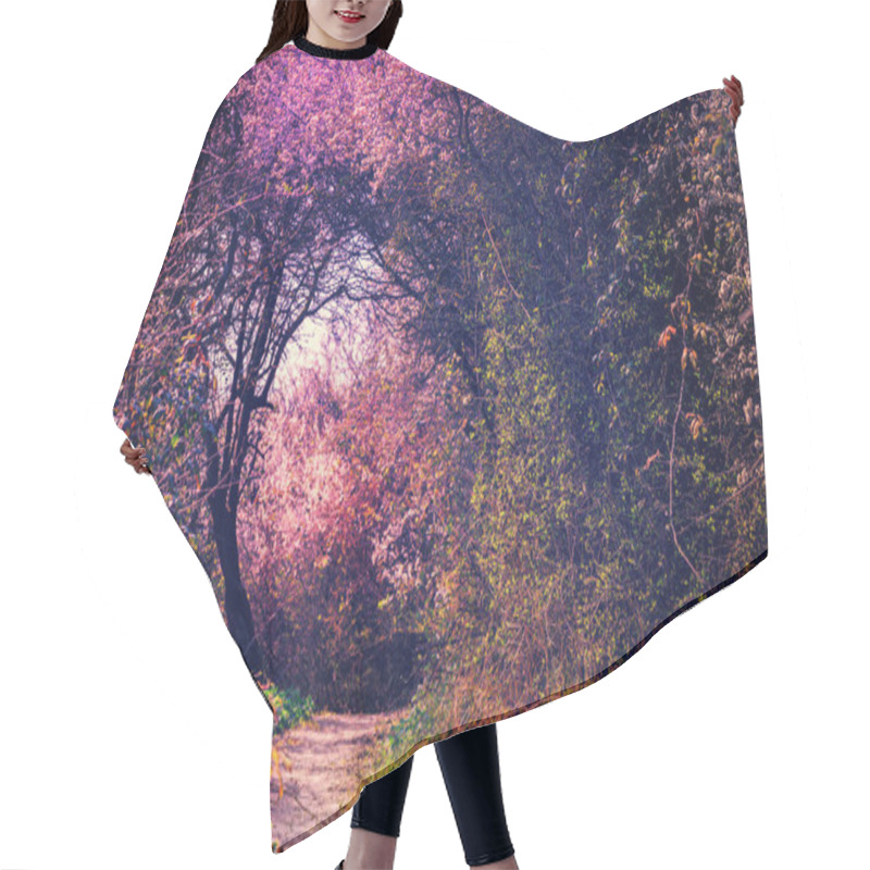 Personality  Footpath In Magic Garden Hair Cutting Cape