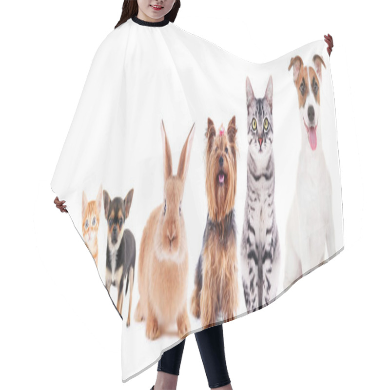 Personality  Cute Friendly Pets Hair Cutting Cape