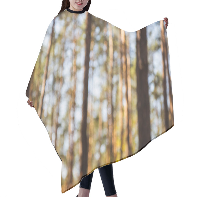 Personality  Defocused Image Of Scenic Autumnal Forest With Wooden Tree Trunks In Sunlight Hair Cutting Cape