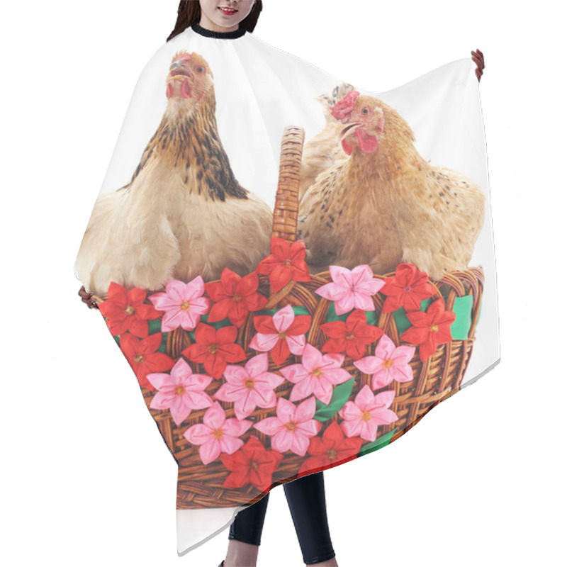 Personality  Two Brown Chicken. Hair Cutting Cape