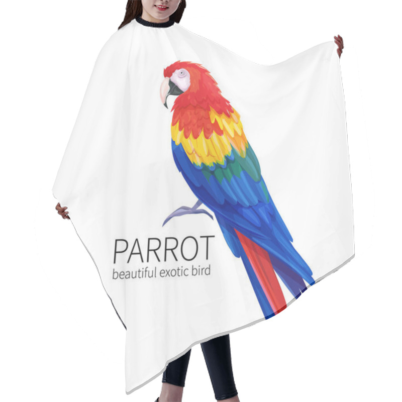 Personality  Vector Parrot. Exotic Tropical Bird Sitting. Bright Illustration Cartoon Style For Summer Tropical Paradise Advertising Vacation Design. Hair Cutting Cape