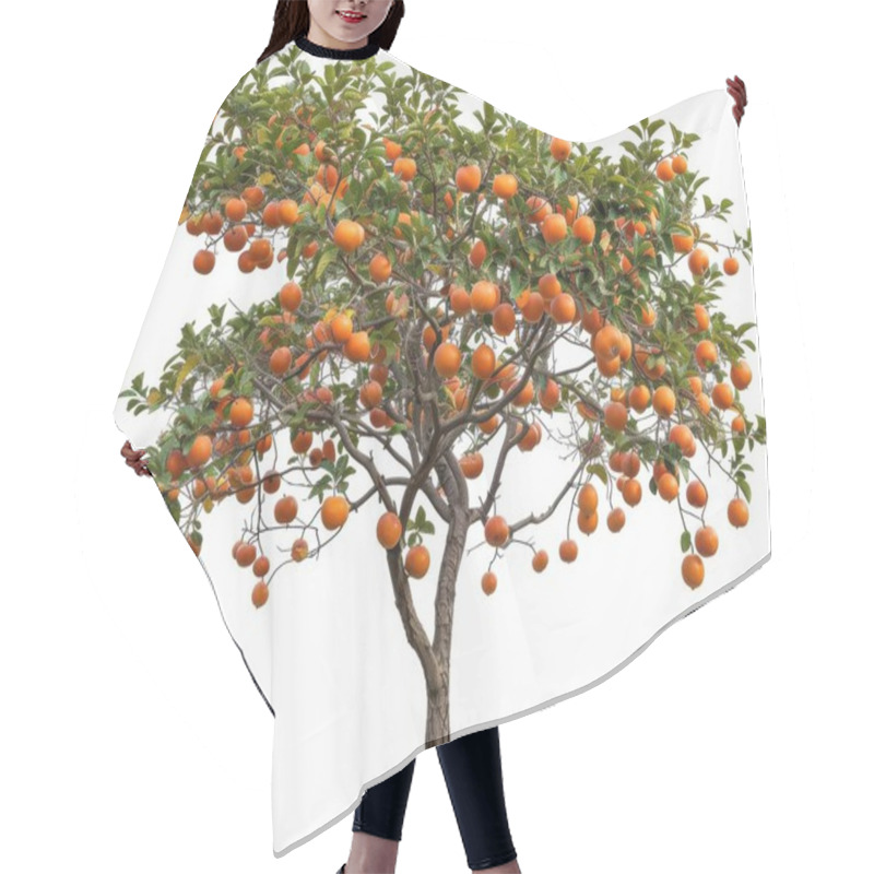 Personality  A Vibrant Orange Tree Laden With Ripe, Juicy Oranges Under Bright Green Leaves. Hair Cutting Cape