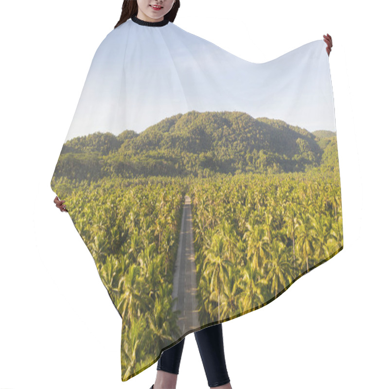 Personality  Tropical Coconut Trees Forest Hair Cutting Cape