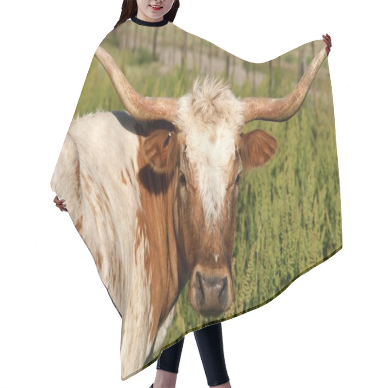 Personality  Longhorn Cow Hair Cutting Cape