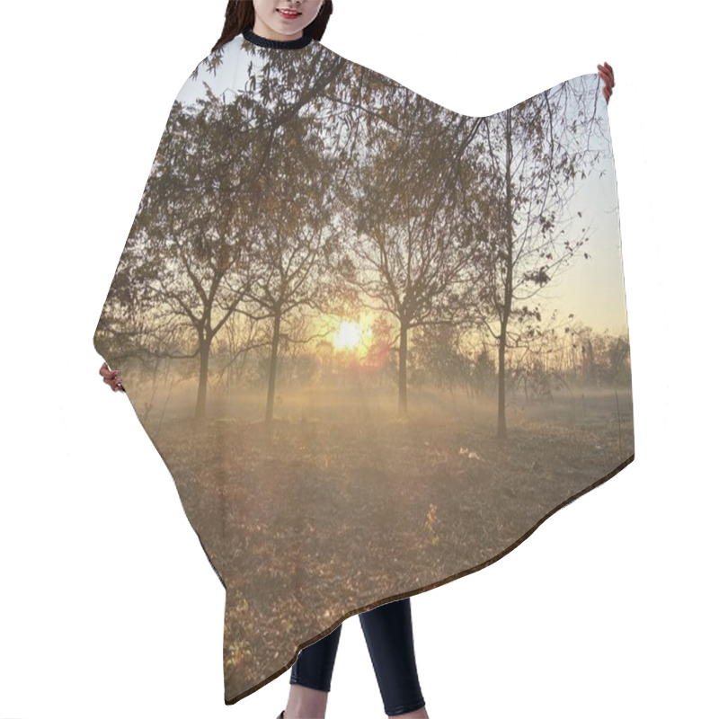 Personality  Autumn Landscape With Morning Fog Rolling Through Trees Hair Cutting Cape