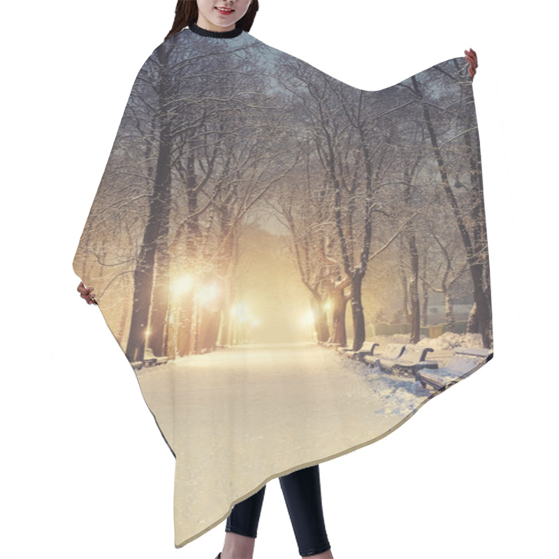 Personality  Footpath In A Fabulous Winter City Park Hair Cutting Cape