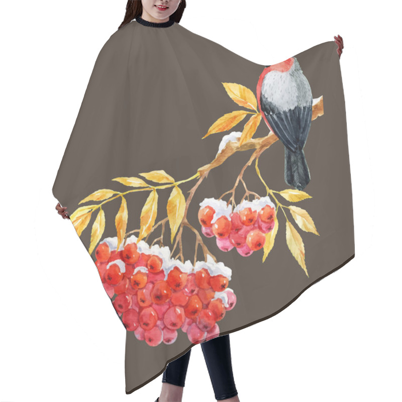 Personality  Bullfinch And Ashberry Hair Cutting Cape