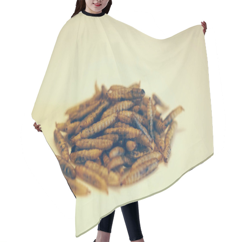 Personality  Dried Black Soldier Fly Larvae (Hermetia Illucens) Innovative Protein Source For Human And Livestock Hair Cutting Cape