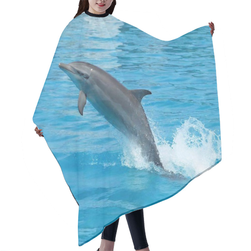 Personality  Dolphin In The Water Hair Cutting Cape