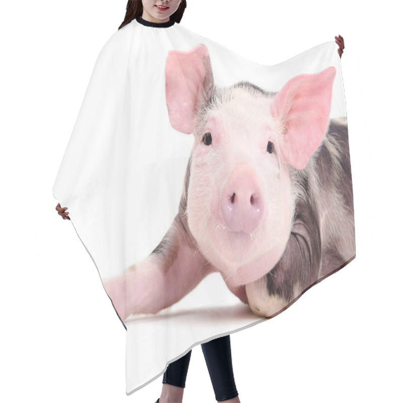 Personality  Portrait Of The Charming Little Pig Hair Cutting Cape