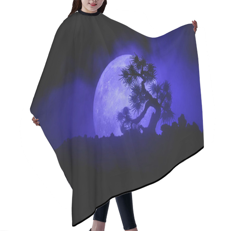 Personality  Silhouette Tree On Full Moon Background. Full Moon Rising Above Japanese Style Tree Against Toned Foggy Sky. Hair Cutting Cape