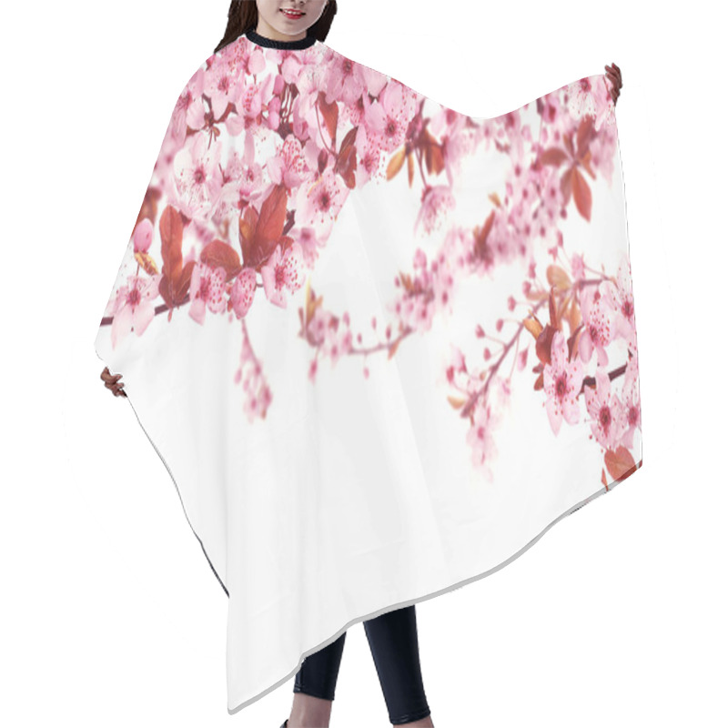 Personality  Beautiful Sakura Tree Branches With Delicate Pink Flowers On White Background Hair Cutting Cape