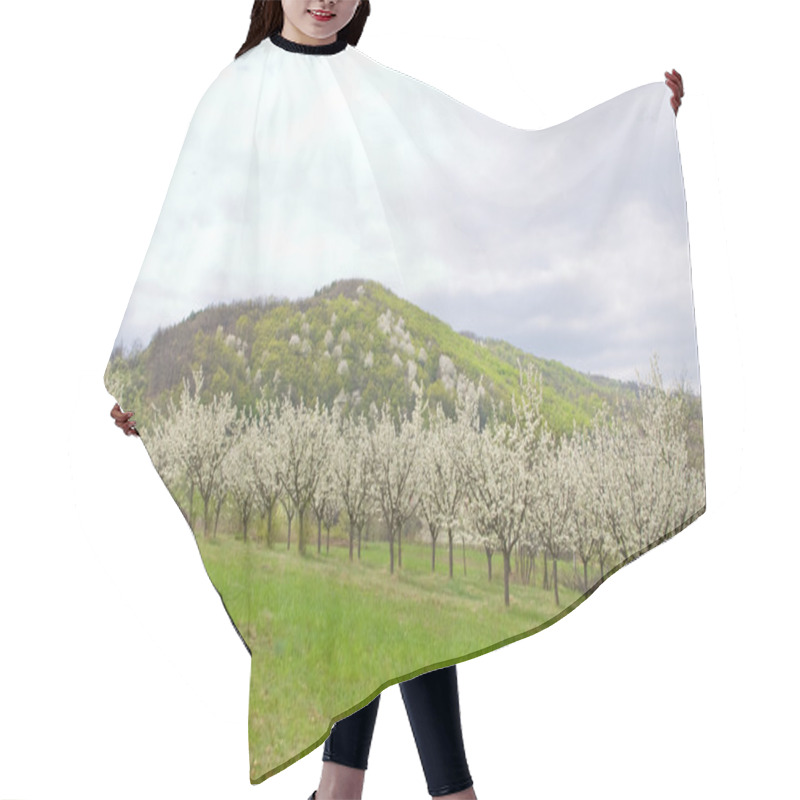 Personality  Apple Orchard Hair Cutting Cape