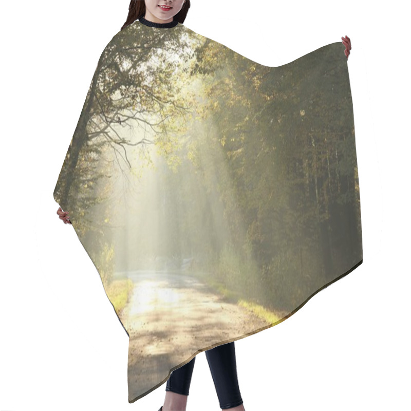 Personality  Forest Road In Autumn Morning Hair Cutting Cape