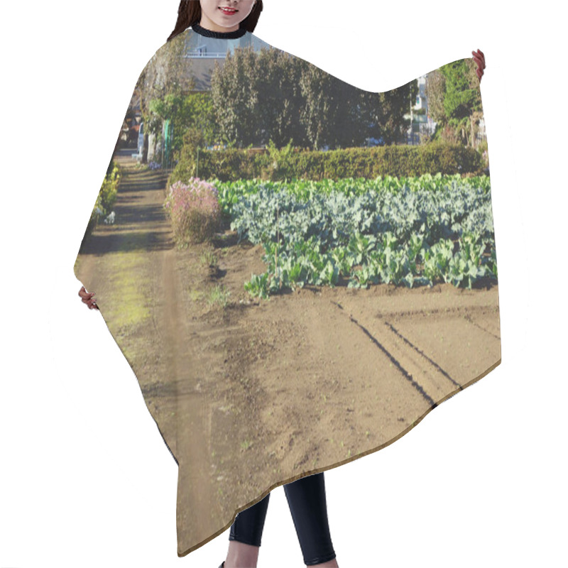 Personality  Farm Scenery In A Quiet Rural Mountain Village On The Outskirts Of The City Hair Cutting Cape