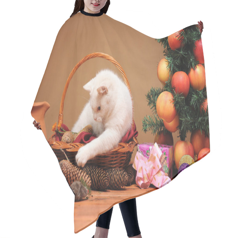 Personality  White Cat Playing With A Plush Mice Hair Cutting Cape